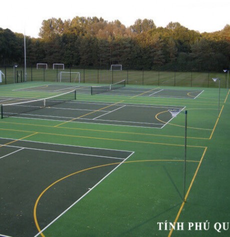 netball 500x450 (1) copy